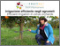 [thumbnail of 2023-04-24 14_12_32-Efficient irrigation systems in citrus plantations in Sicily - YouTube.png]
