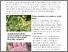 [thumbnail of hedrich-2025-bioactualitesch_anthracnose-sur-la-mauve.pdf]